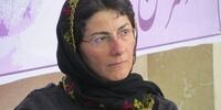 عنصر تحقیر در شکل‌گیری اعتراضات نقش مهمی ایفا می‌کند/حرکت دخترانه انقلاب مدنی ومسالمت‌آمیز بود
