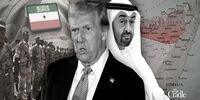 پشت پرده هم صدایی امارات و ترامپ؛ رونمایی از اهرم تازه آمریکا بیخ گوش عربستان/ اسرائیل قربانی جاه‌طلبی‌های واشنگتن خواهد شد؟