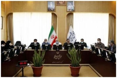 جلسه فوق‌العاده این کمیسیون مجلس در پی شهادت سردار موسوی