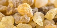 تاثیر عجیب این گیاه بر سلامتی کبد و کلیه 