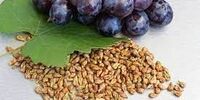 افزایش طول عمر با این ماده غذایی باورنکردنی!