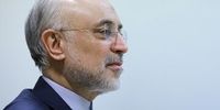 تصمیم مهم رهبر شهید درباره برنامه هسته‌ای از زبان علی اکبر صالحی