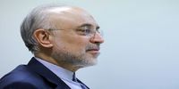 تصمیم مهم رهبر شهید درباره برنامه هسته‌ای از زبان علی اکبر صالحی