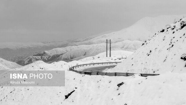 62187546_Alireza-25-of-49-