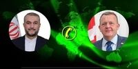 دانمارک هرگونه اهانت به قرآن کریم را شدیداً محکوم می‌کند