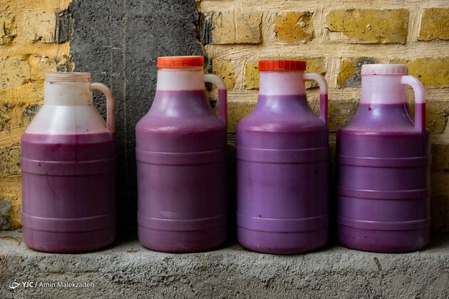 15172859_707