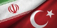 گفت‌وگوی تلفنی اردوغان و پزشکیان/ ابراز امیدواری به پایان جنایات اسرائیل در غزه 