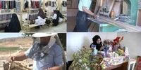 خبر مهم  کمیته امداد درباره افزایش سقف تسهیلات اشتغالزایی مددجویان