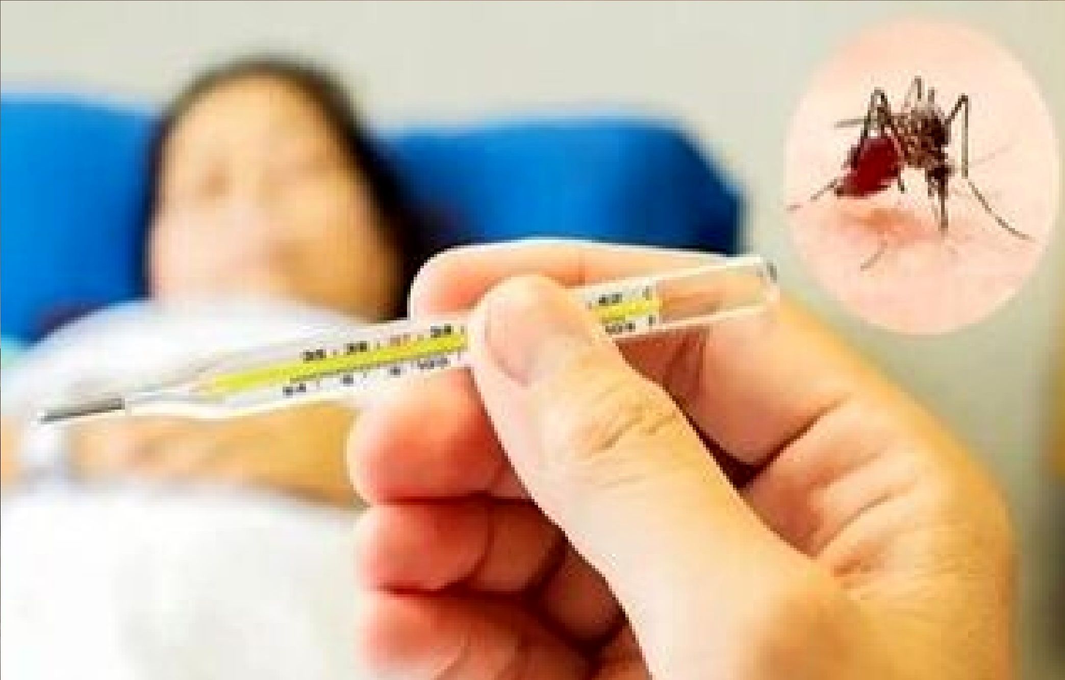 زنگ خطر به صدا درآمد؛ شیوع تب دنگی در این منطقه جدی شد