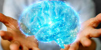 شناسایی «اثرانگشت» مغز انسان در کمتر از دو دقیقه