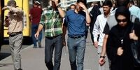 سوغاتی مرگبار در پاییز امسال 