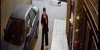 مادر نیکا شاکرمی: نیکا می گفت در تجمعات بلوار کشاورز حضور دارد/ بدون اجازه او را به خاک سپردند /من باید فیلم مربوط به نیکا را تایید کنم نه خاله اش!