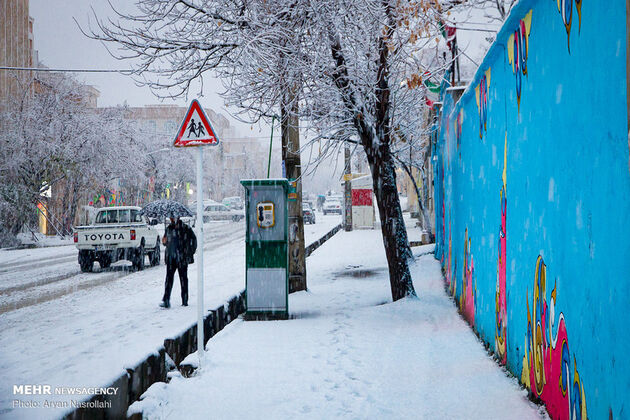 2987740_000IMG_9748