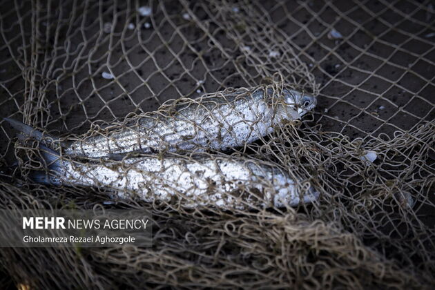 3922797_13_MG_9539_resize