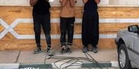 سارقان غیربومی سیم برق زمین گیر شدند