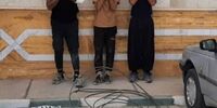 سارقان غیربومی سیم برق زمین گیر شدند