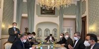 ارزیابی اولیانوف از دیدار امروزش با علی باقری