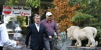 مایلی‌کهن ممنوع المعامله شد!