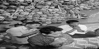 خمرهای سرخ و مالکیت