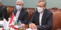 فاجعه در دیدار علی باقری با همتای پاکستانی‌اش/ پرچم ایران را وارونه گذاشتند!