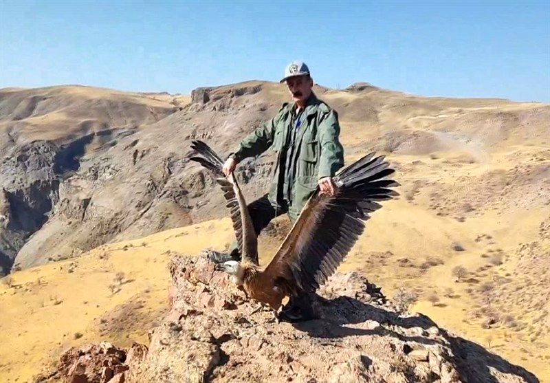 محیط‌بان , آذربایجان شرقی , اخبار استان آذربایجان شرقی , 