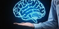 مغز خود را هک کنید +فیلم
