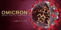آنتی‌بادی علیه اُمیکرون در بدن چه زمانی ایجاد می‌شود؟ / توانایی غیرقابل‌باور این آنتی‌بادها