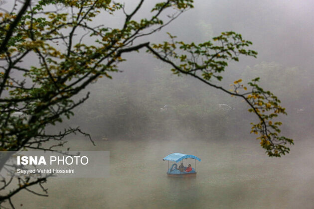 62097455_vahid-hoseini-13