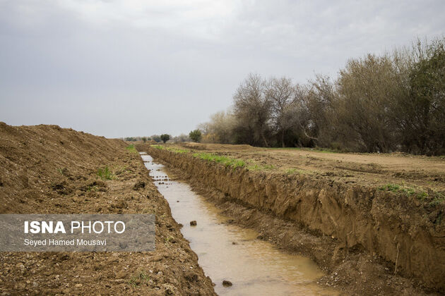 62187110__MG_4097