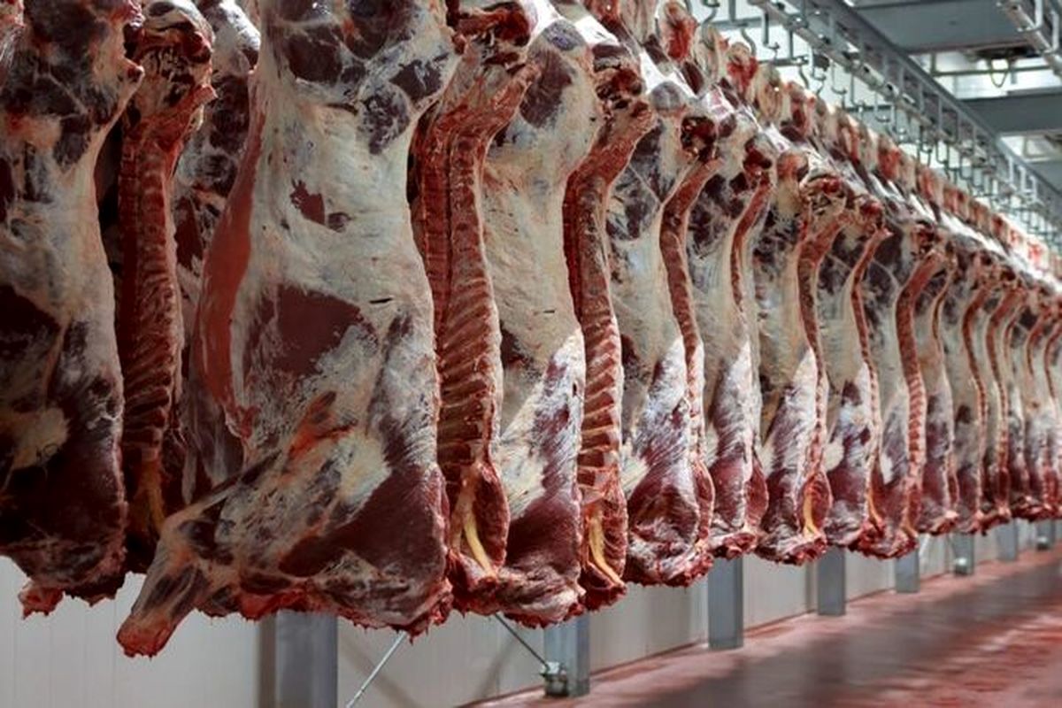 گوشت گوساله پاکستانی در راه ایران؟