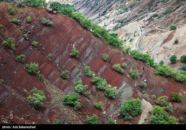 image14