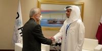 محور گفتگوی کمال خرازی در دیدار با وزیر خارجه قطر 