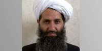 اظهارات جدید رهبر طالبان درباره تعامل با کشورهای دنیا