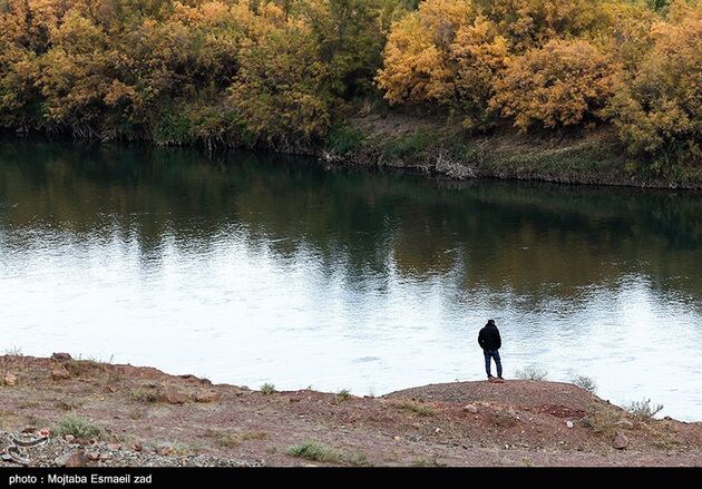 image10