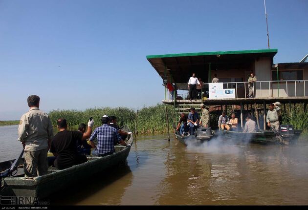 پاکسازی انزلی