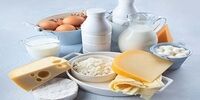 افزایش صادرات محصولات لبنی ایران
