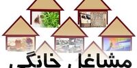 رونمایی از طرح ملی توسعه مشاغل خانگی