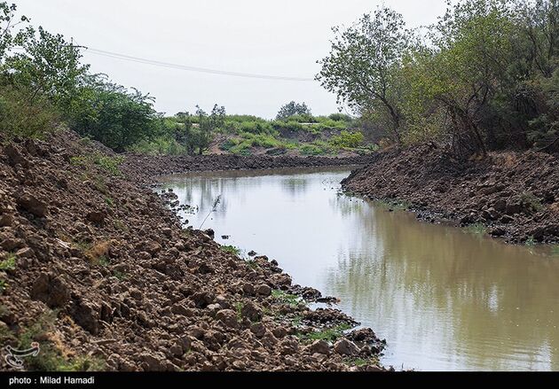 image13