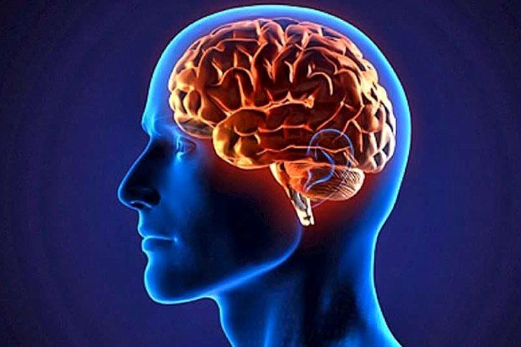 ۱۰ باور رایج اشتباه درباره مغز انسان