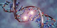 اولین انسان های اصلاح ژنتیکی شده به زودی متولد می‌شوند!