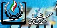 سرنوشت حساب ذخیره ارزی در انتظار صندوق توسعه ملی/ سهم بخش خصوصی از مازاد درآمدهای نفتی چقدر بوده‌است؟
