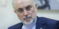 صالحی: در دوران روحانی از منجنیق فلک سنگ فتنه می‌بارید 