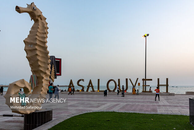 4136638_MSD_4901