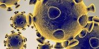 ۲۰ دستورالعمل مهم برای مقابله با ویروس کرونا