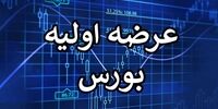 عرضه اولیه بیوتیک قطعی شد+ جزییات مهم

