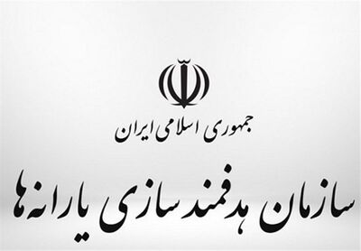 سرپرست سازمان هدفمندی یارانه‌ها منصوب شد
