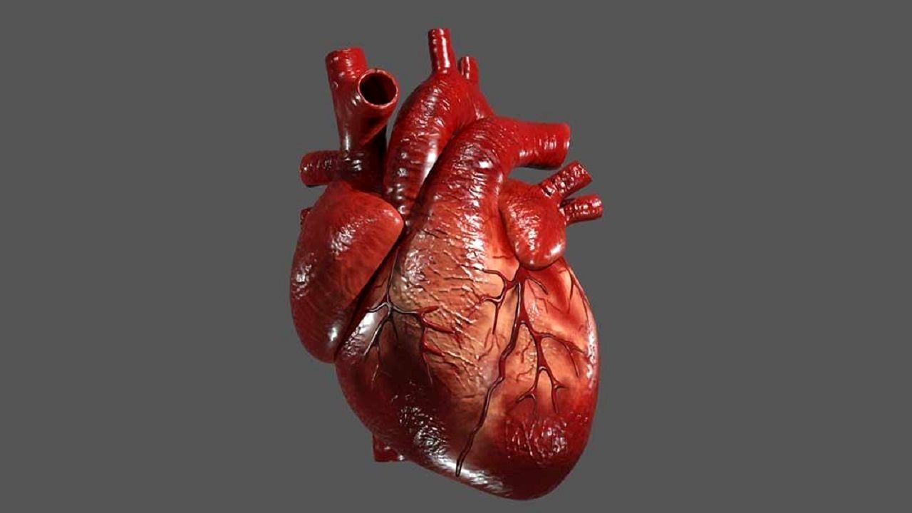 با این روش ساده غذایی، قلب خود را جوان نگه دارید!