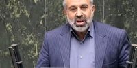 یزدی خواه: دولت موافقتش را با طرح صیانت اعلام کرده است