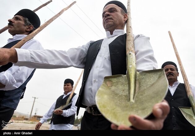 آیین بیل گردانی در شهرستان نیم ور