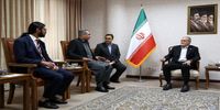 وزیر کشور پاکستان چه پیام‌هایی از مقامات این کشور به پزشکیان منتقل کرد؟